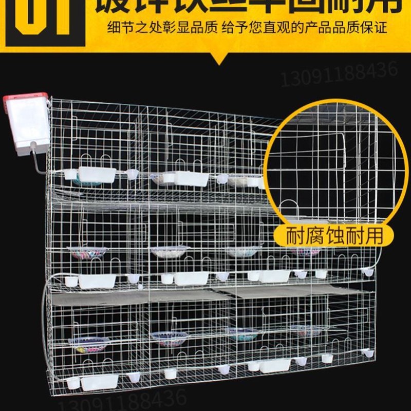 速发鸽笼配对笼鸽子笼繁用子巢箱家殖养殖笼台塑料鸽笼具配对鸽笼