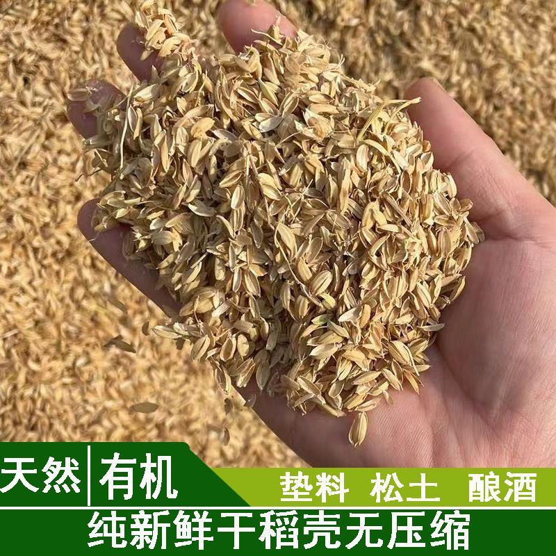 速发稻壳新种纯干稻谷壳垫料疏松土壤鲜花种菜树种防震填充装枕头