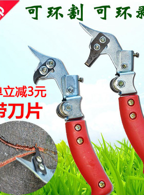 速发环割刀蜜柚刀割果割梨树剥皮刀环剥环大小树环树环剥器枝剪