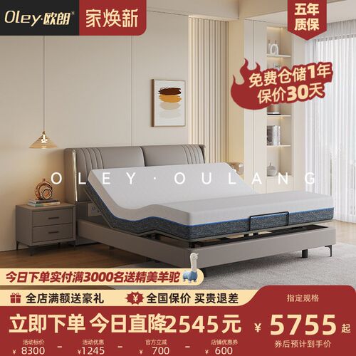 速发欧朗意式端简主卧室电动智能床高双婚床多功能按摩极人大床