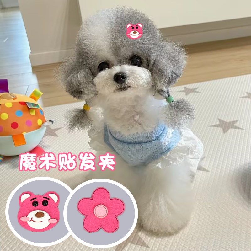 速发泰迪魔术卡发夹比熊刘海贴毛碎发贴夹子碎子头饰配饰