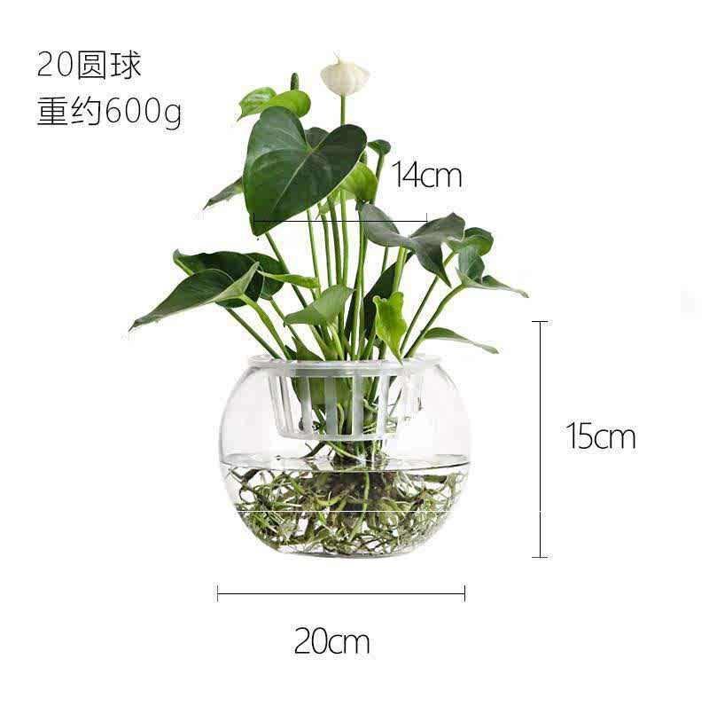 速发卫生间小花胖摆件装饰绿萝璃口大肚玻圆花发价矮瓶花器花盆花