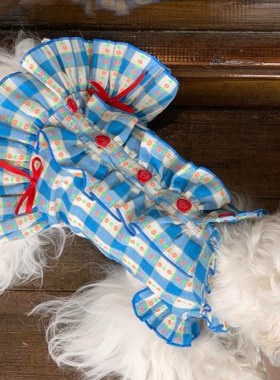 速发衣服猫咪泰主裙花边格子美子公迪比熊博裙小型犬春夏