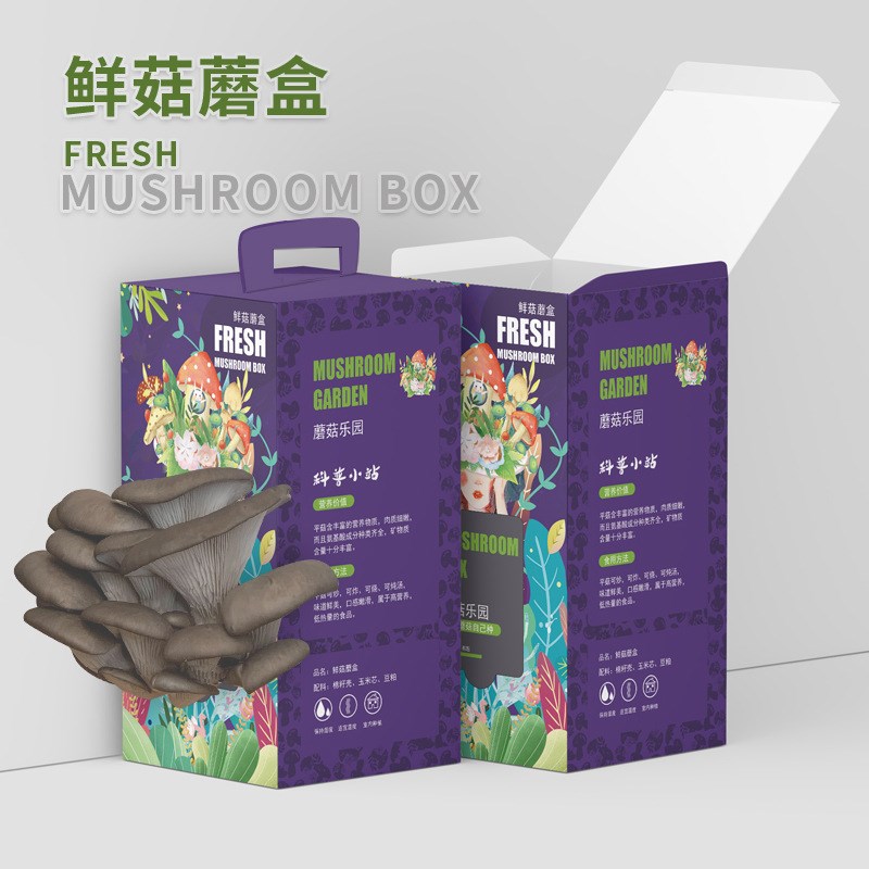 速发儿童蘑菇种植包庭工学校家室手内益智类趣味菌菇包盆栽可食用