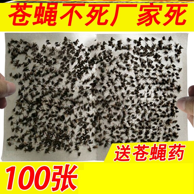 速发蝇房捕苍蝇板捕大号加蝇大号粘苍蝇纸粘厨板大棚专用家用饭店