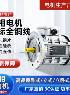 速发三相异步5S0/250/71/750W铝壳立式BY感应马达0400转低速