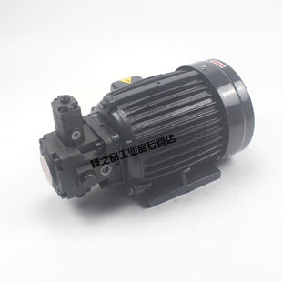 速发新品 1.2K泵 2.5KW配VP20 VP15 液压液压站配件油W0.75KW