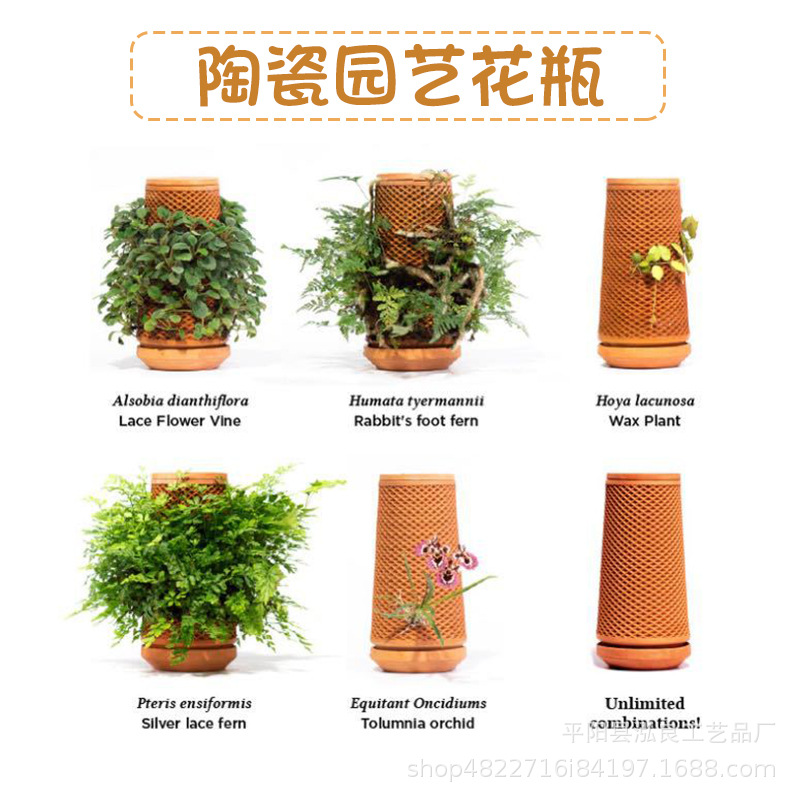 速发跨动爆款创意室内懒人自瓷吸水花盆 菱形水培红陶境花瓶园艺