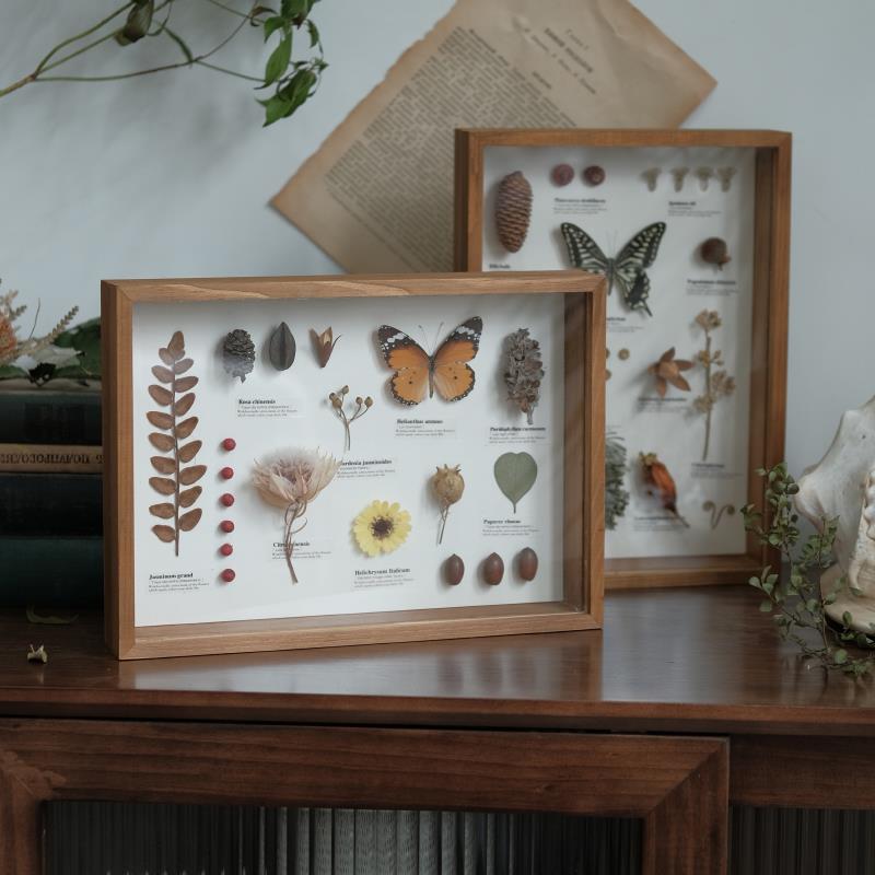 玩物蝴蝶昆虫甲壳虫植物标本装饰画摆件创意礼物复古生态微景软装
