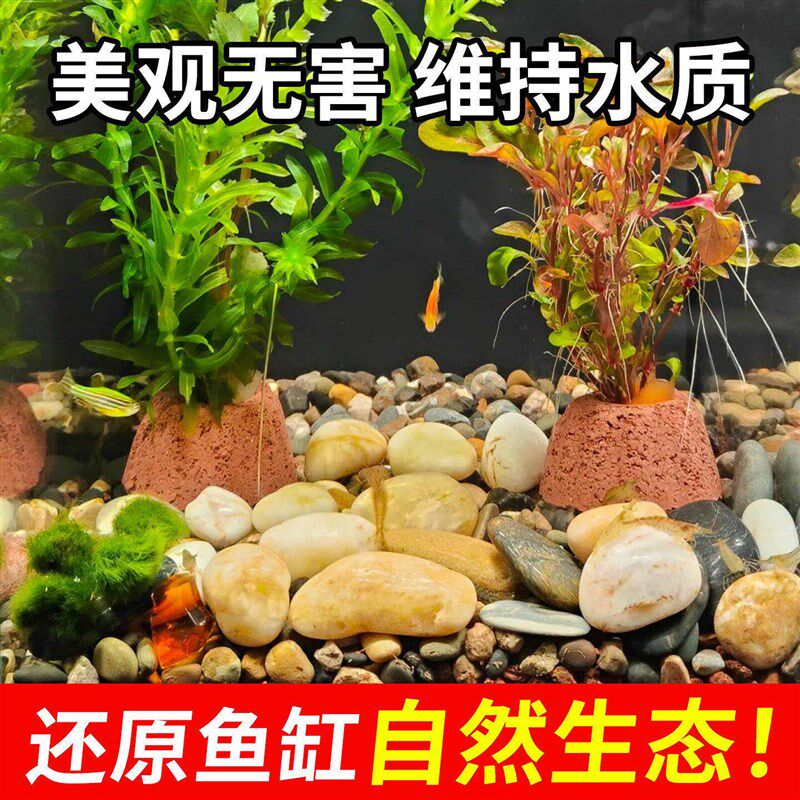 速发10斤鹅卵石鱼缸造景底砂装饰溪流石原生小石头石子五彩鹅软石