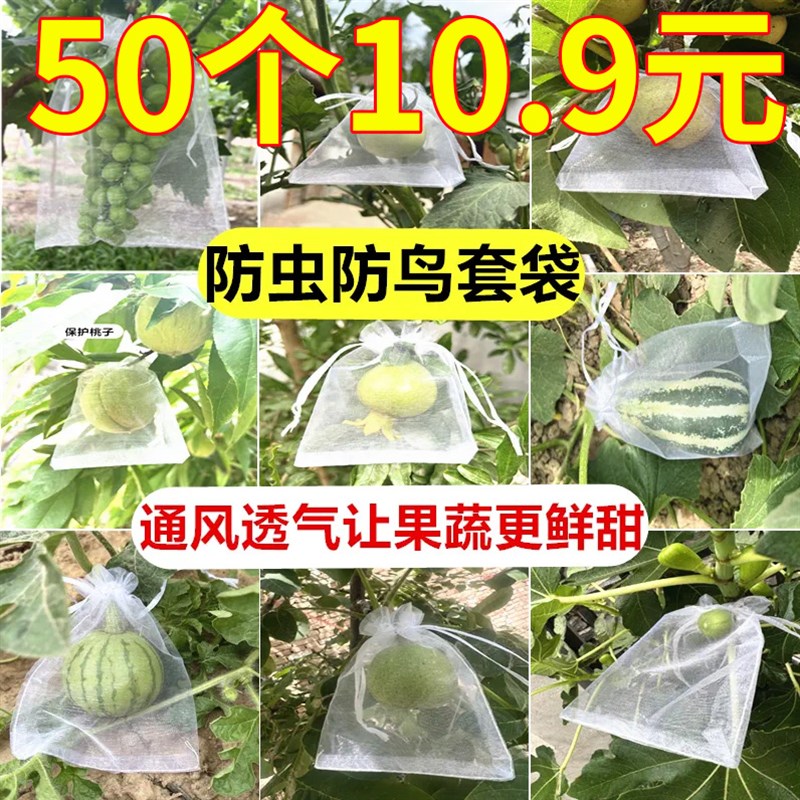 速发果树防虫网袋防套纱网袋保护番萄袋无花果葡石榴草莓鸟袋桃子