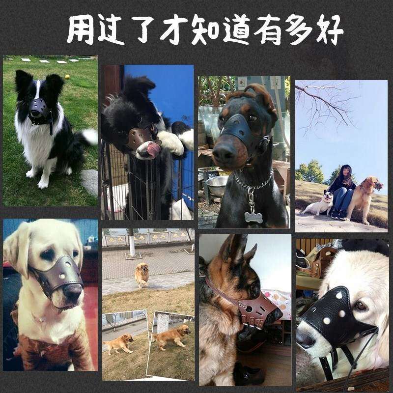 速发让不叫的神器消声止吠器防止狗叫不让狗乱叫防咬嘴套小狗