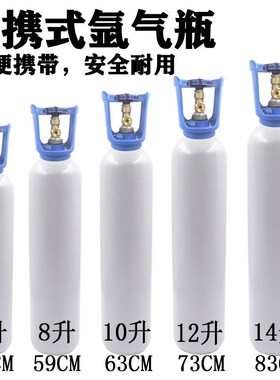 速发全瓶4缝氩气钢小型氩弧焊便携式提手6L8L10L12L1无升国标