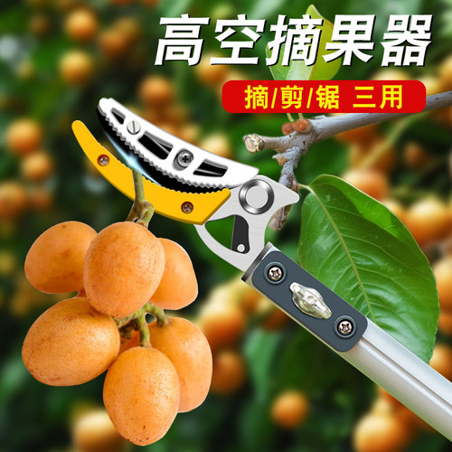 速发摘黄皮神器杷枝剪伸缩高空剪摘荔枇修果枝黄皮水果专用剪刀高
