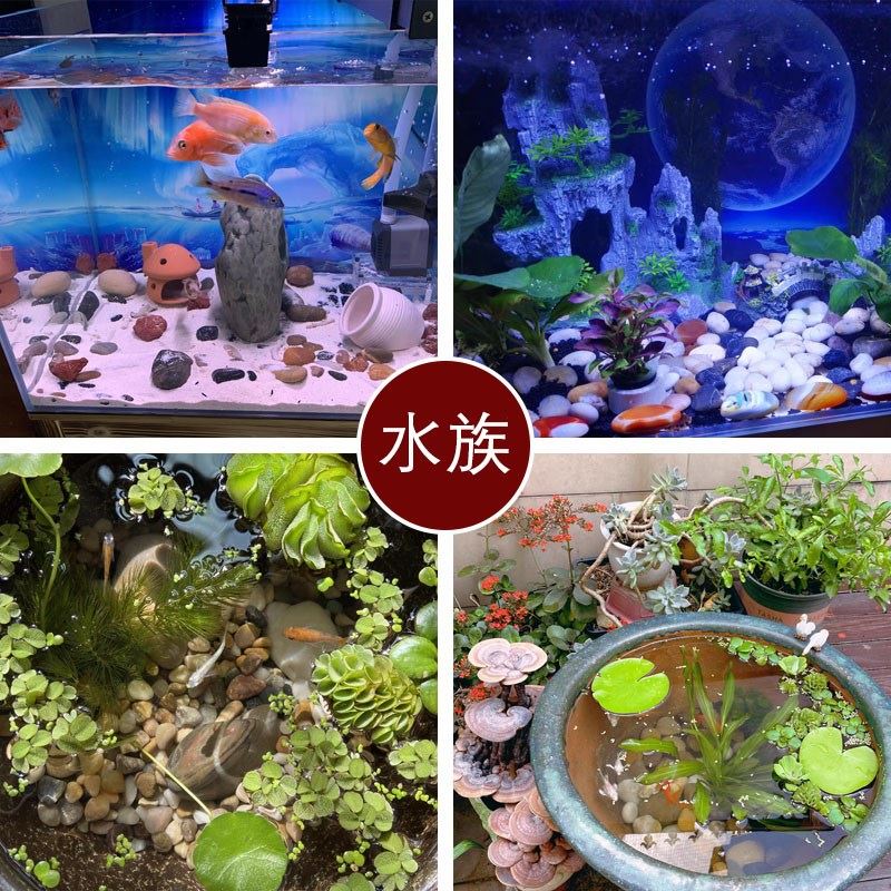 速发石盆石花盆铺底南京雨花石原压大颗花卵石子鱼缸鹅盆石头精品