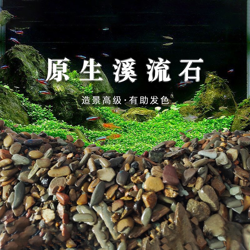 速发原生鱼草造景底砂溪流石水草龟缸雷龙底缸南美缸装饰铺鱼 溪