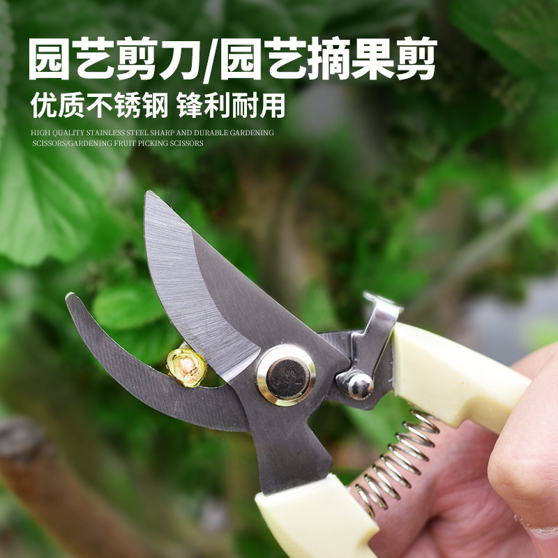 速发园艺剪花剪园林剪修枝剪花艺剪剪树枝果树花刀枝剪修剪剪卉剪