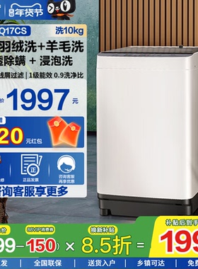 松下全自动10kg波轮洗衣机1级能效家用大容量除螨抗菌羊毛洗Q17CS