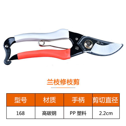 兰枝168修枝剪果树粗树剪园艺剪刀园林工具花剪刀修剪树枝剪刀