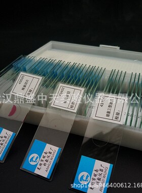 43507人血涂片切片盒人血切片初高中生物实验切片生物切片