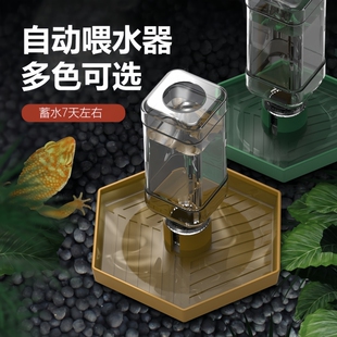 NOMOYPET诺摩爬宠陆龟半水龟爬虫食盆水盆躲避自动饮水器食盘水盘
