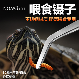 nomo诺摩爬宠喂食镊子喂龟弯头爬宠箱不锈钢镊子蜘蛛乌龟镊子