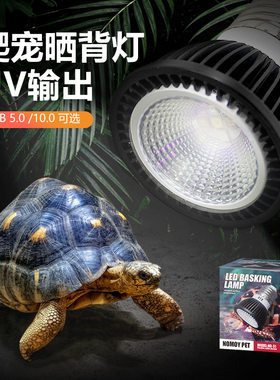 诺摩乌龟晒背灯UV输出模拟太阳灯