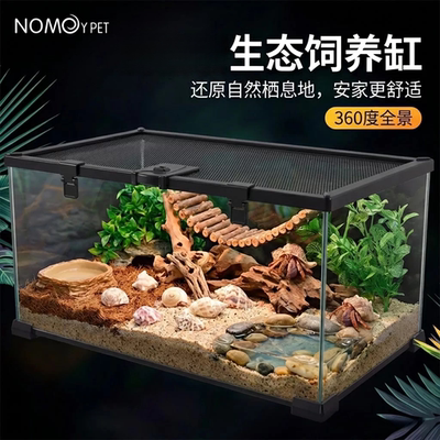 诺摩水陆雨林缸360度全景观赏