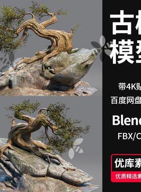 C4D/MAX/FBX/Blende/OBJ岩石奇幻景观古老大树木植物3D模型素材