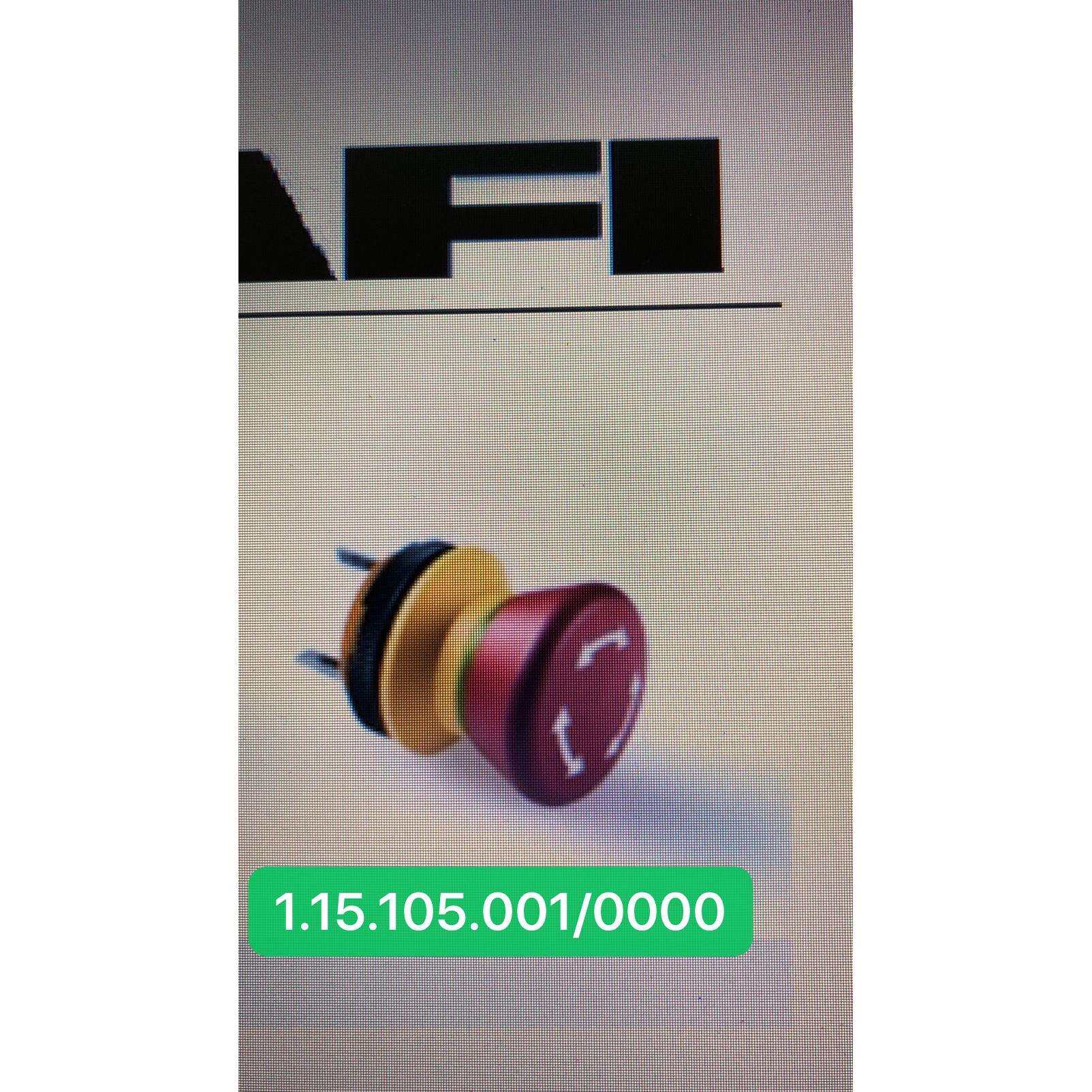 安装孔径22mm德国RAFI急停开关