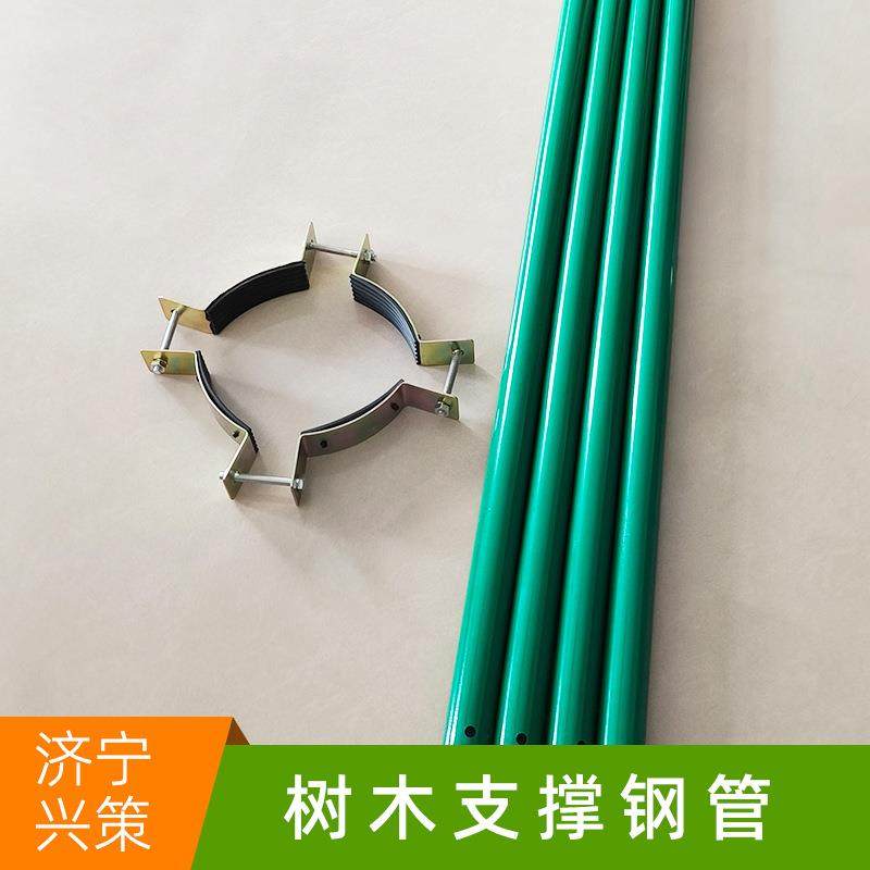 苗木防倒镀锌钢管支撑架 园林绿化树木防风支撑固定器烤漆钢管