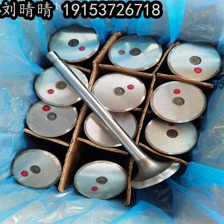 排气门3088391/3035110/3803529 工程机械挖掘机维修零件