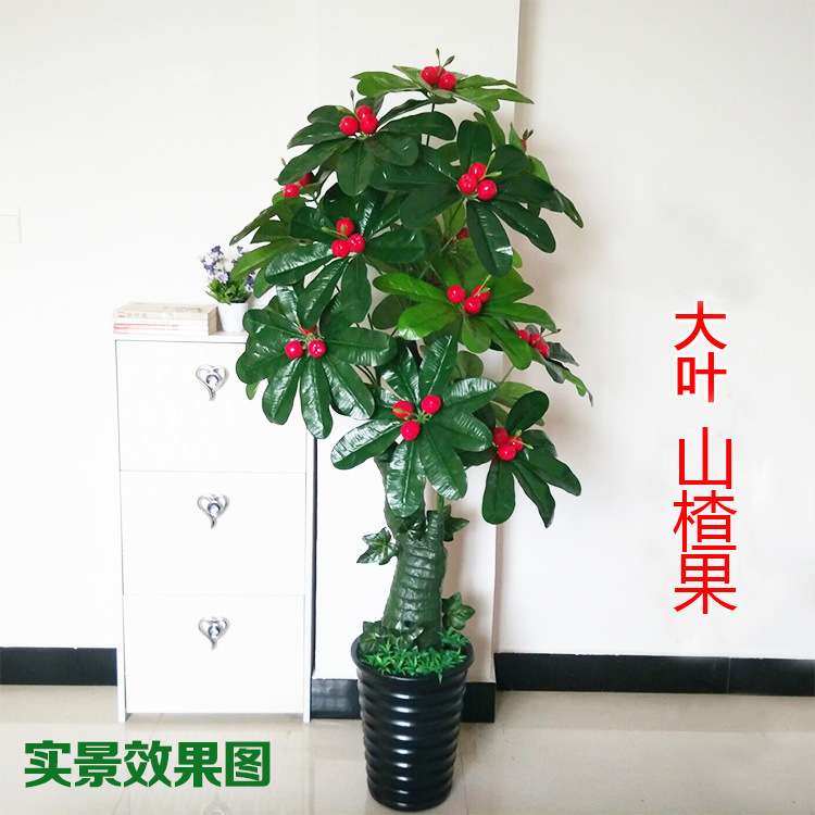 仿真植物盆栽室内客厅落地摆放盆景田园水果发财树仿真山楂树
