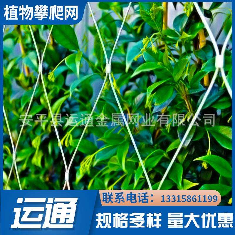 不锈钢绳网柔性钢丝绳网绿植攀爬绳网植物爬架金属绳网绿植攀爬网