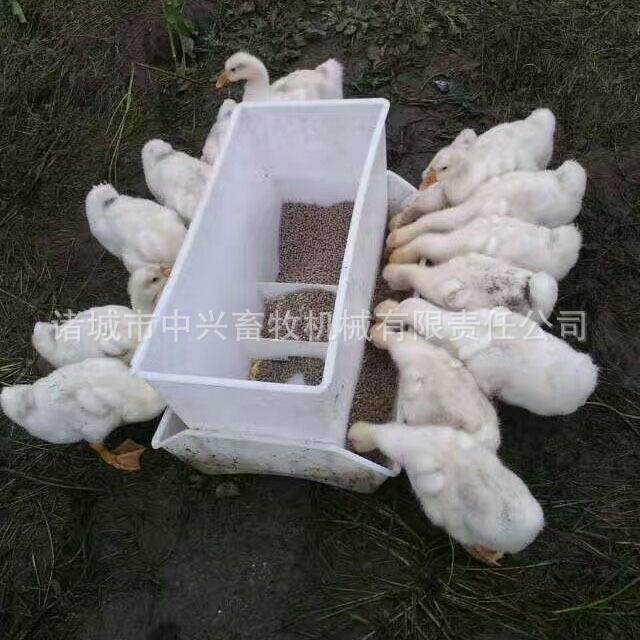 种鸭料箱 防晒鸭料箱 小鸭料箱 鸭料箱 带限料板种鸭料箱,乐器/吉他/钢琴/配件,其它乐器配件,淘宝优惠券,粉丝福利购,淘宝优惠卷