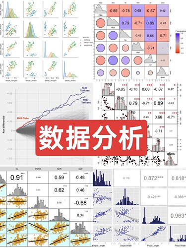 spss Python stata R语言 数据分析金融统计软件