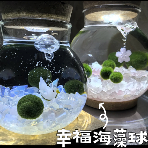 陪你到老炸毛宠物海藻球