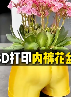 翘臀内裤花盆3D打印搞怪奇葩摆件