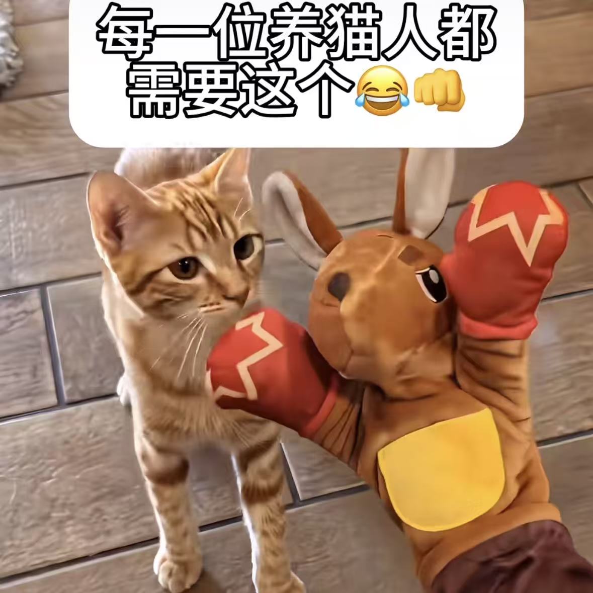猫咪摔跤拳击袋鼠玩偶手套图片