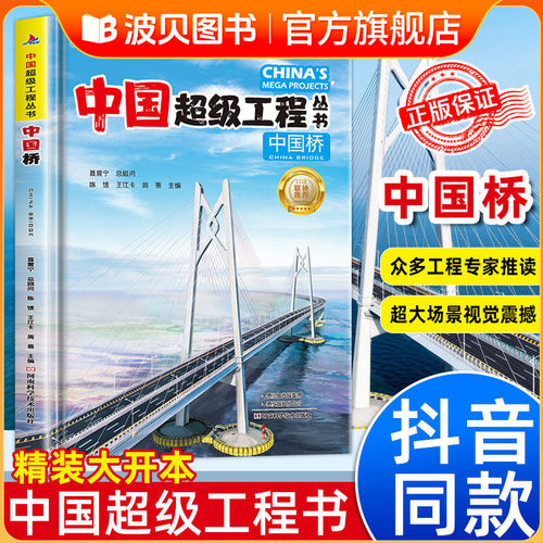 中国超级工程丛书中国桥