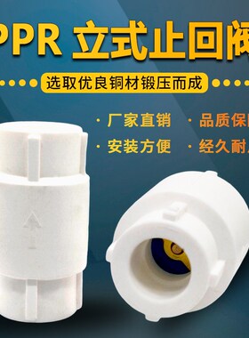 速发PPR立式止回阀单向阀4铜6分阀0/25PP-R水管止逆2弹簧分芯立式
