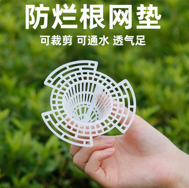 塑料花盆底孔网垫多肉盆栽防漏土网垫片垫底网透气漏水兰花沥水罩