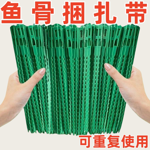 树藤蔓植物固定捆绑线可调节鱼骨扎带绑园艺可拆卸扎线多用途园林