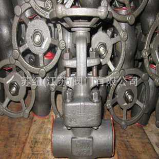 锻钢波纹管闸阀BZ41W_A105锻钢闸阀_高温高压锻钢闸阀圆口