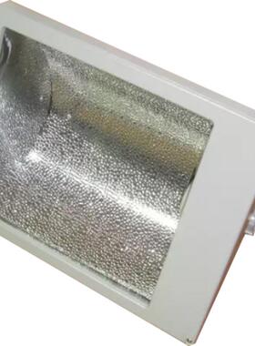 FFd系列防水防尘泛光灯175W250W400W