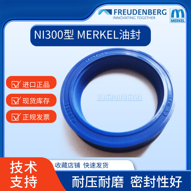 CFW MERKEL FREUDENBERG NI300 65-80-10 125-145-12 15密封件