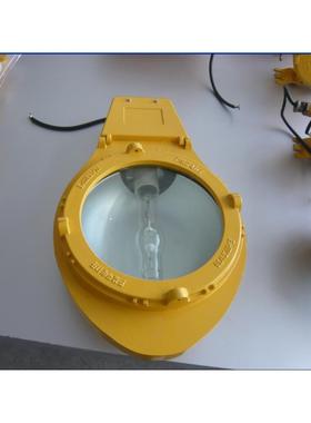 BLC8610防爆道路灯（IIC）马路灯