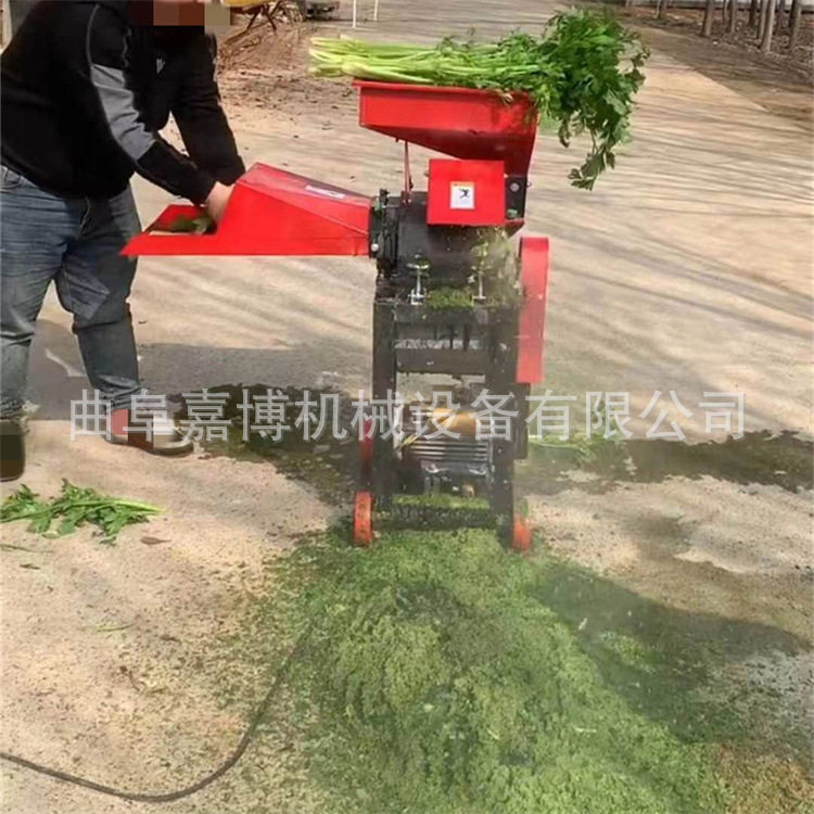 多功能电动打浆机鲜秸秆青草牧草打浆机福建养鸭养鹅瓜果粉碎机