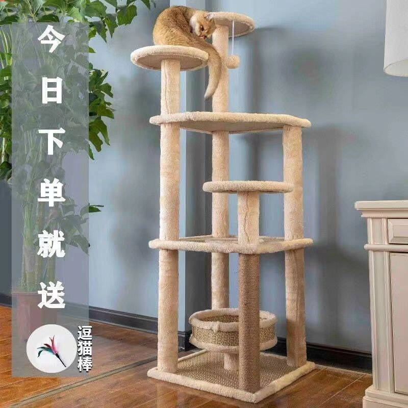四季藤席不占地大型猫窝猫树一体猫玩具球猫爬架子猫抓柱猫咪昌震