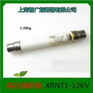 上海智广 高压高分段能力熔断器 XRNT1-12KV/2A-40A 合金